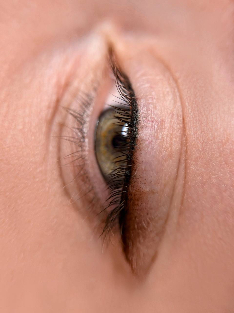 EYE PMU TOUCH-UP at Dina Staroverova in Fair Oaks, CA