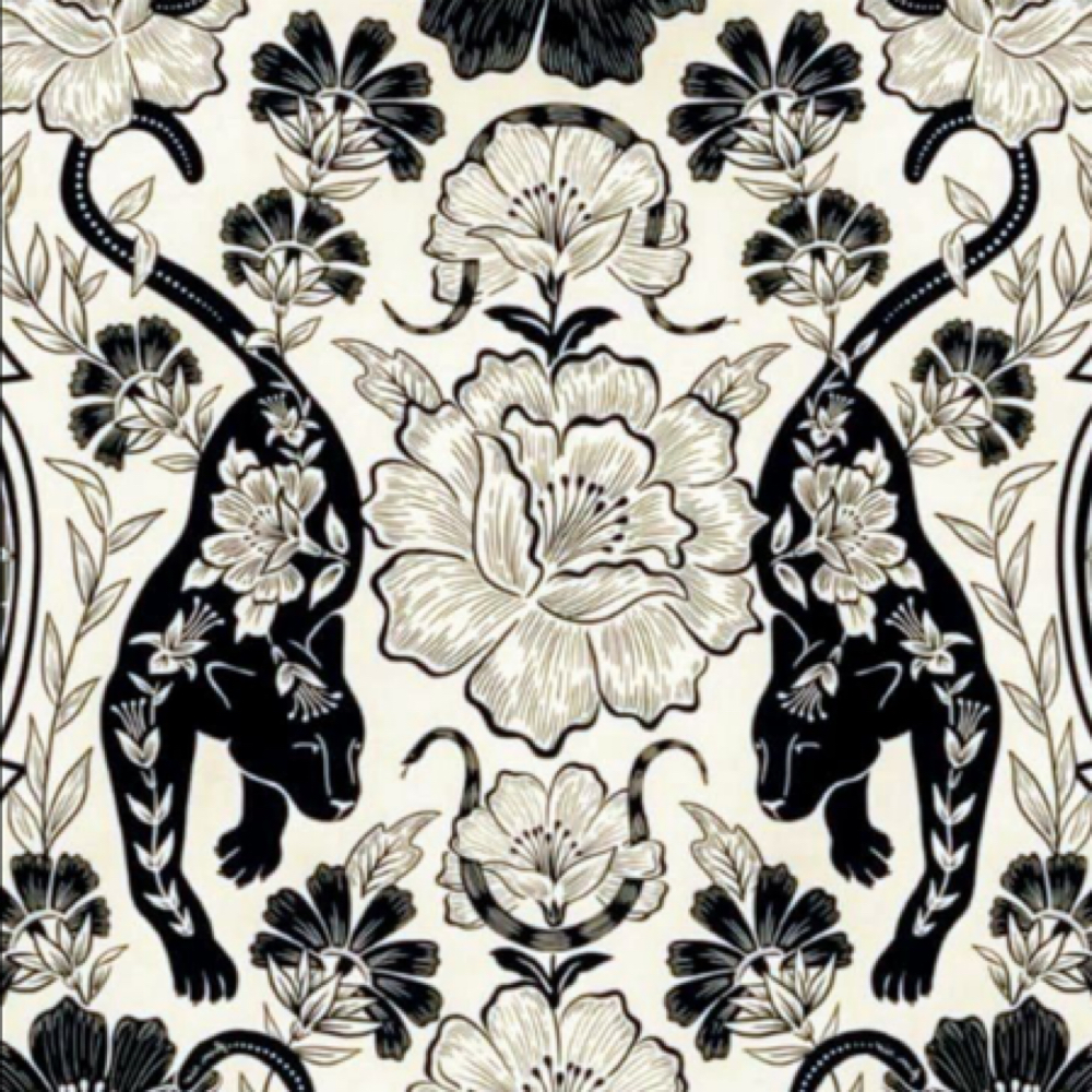 Bang Trim at Halo Hair Studio in Walla Walla, WA