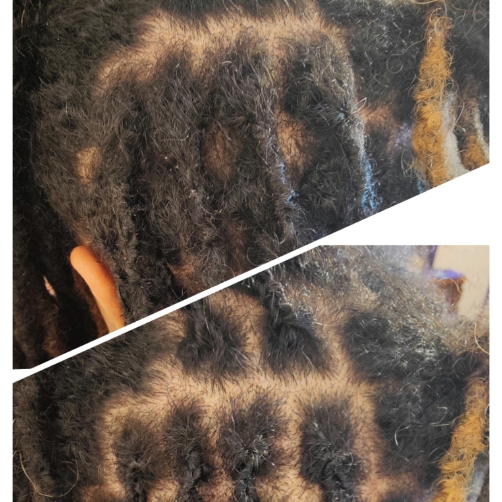 Traditional Loc Retightening at Twistykinks & Twist of Elegance Esthetics in Jacksonville, AR