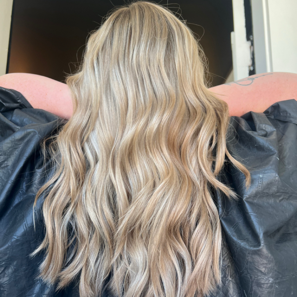 Full Highlight, Base color & Cut at Daph Does Hair in Gardnerville, NV