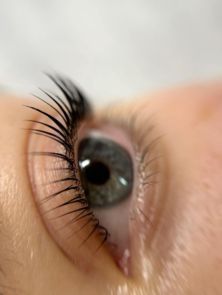 Lash Tint