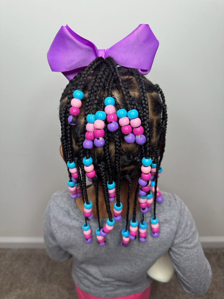 Braided Freestyle Natural Hair Only