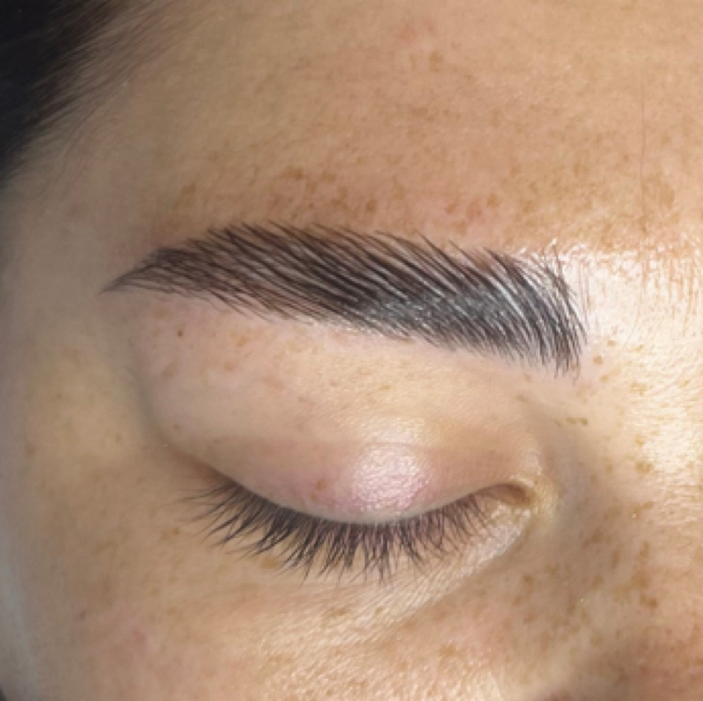 Brow Lamination at SKIN THEORY in St Petersburg, FL