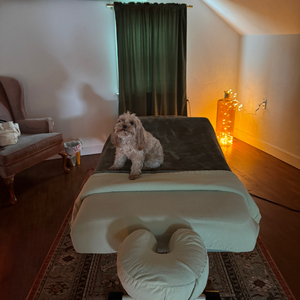 60min Mt Joy Studio at Magnolia Mobile Massage in Lancaster, PA