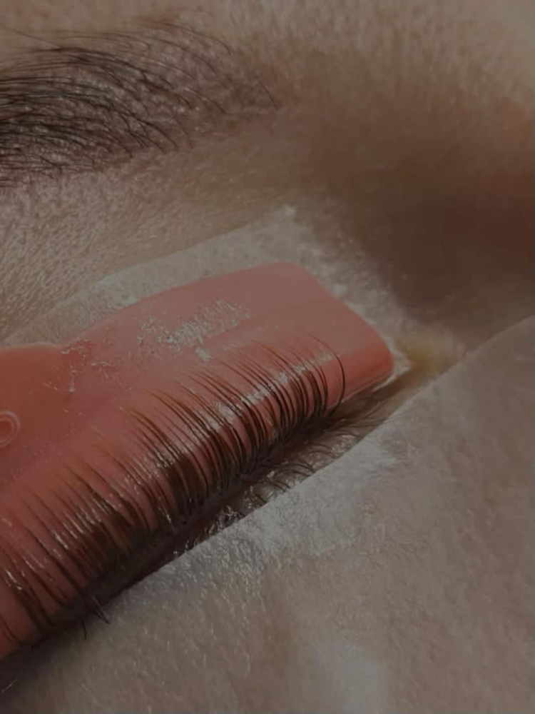 Eyelash Lift + Tint