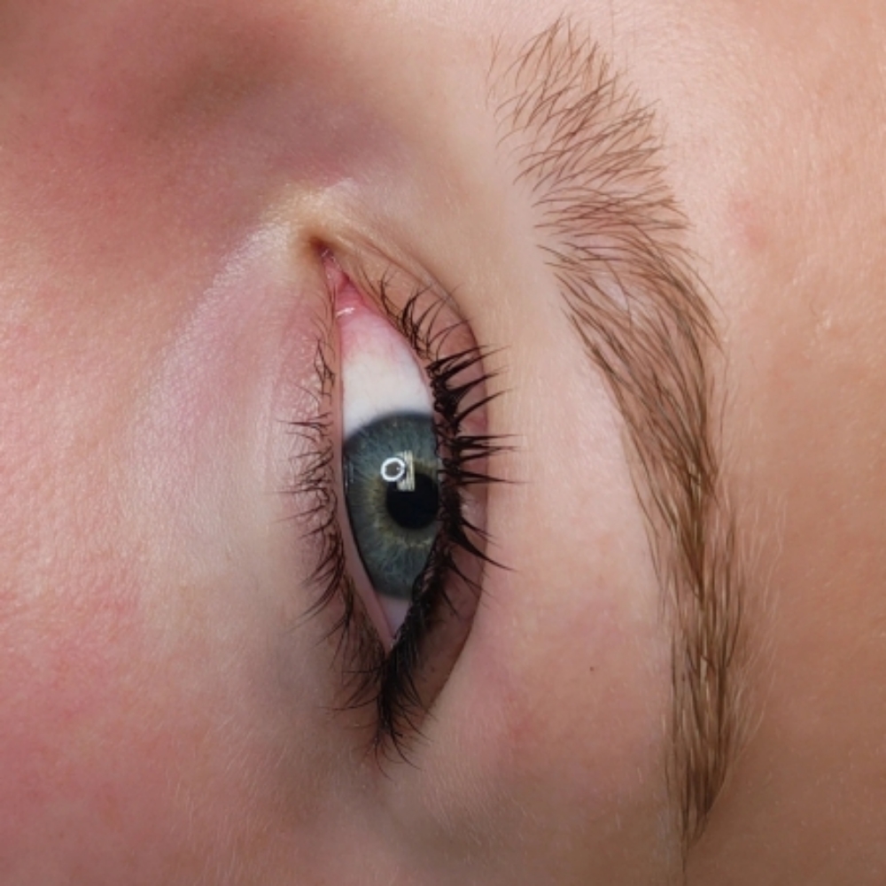 Lash Lift and Brow Lamination at Majestic Aesthetics by jaki in Worthington, OH