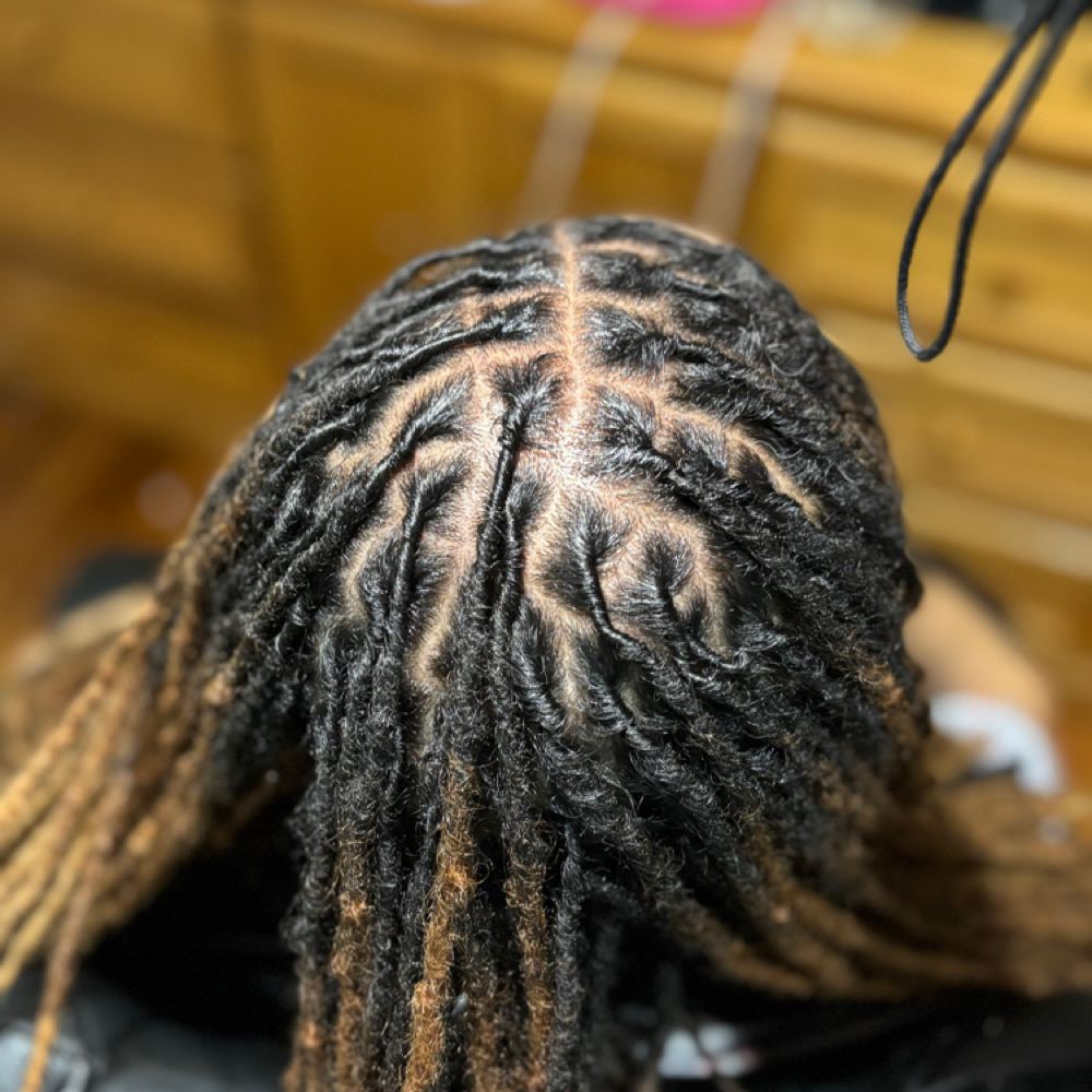 Retwist at Royal Roots in Oak Park, MI