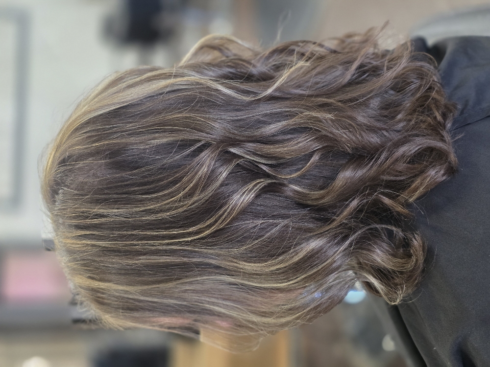Partial High/Lowlights Long Hair