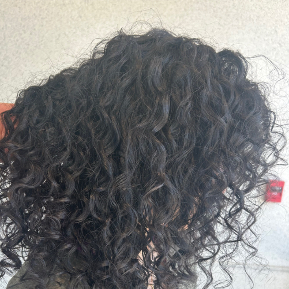 Curly Wash & Go at Mane & Curl in Newark, DE