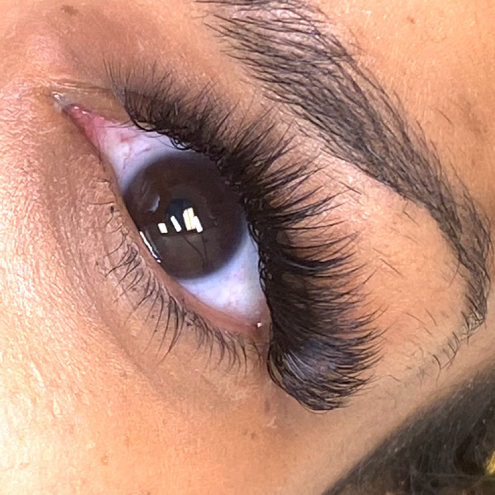 Mega Volume at Flawless Lash And Brows in Lansing, MI