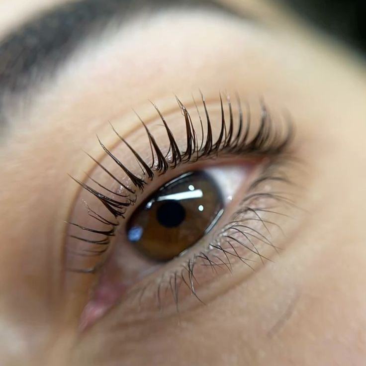Korean Lash Lift at House of Belynn in rockwall, TX