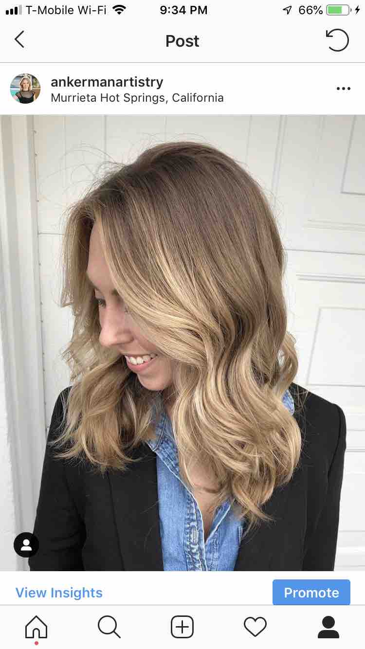 Face Framing Balayage + Blowdry