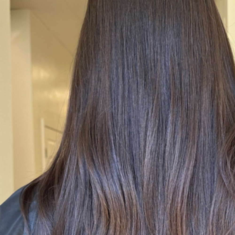 Base Color Retouch and Haircut at Styled by Whitney Marie in Folsom, CA