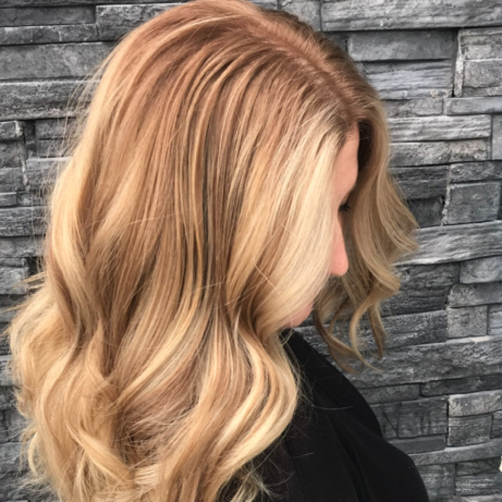 Platinum Blowout at Wyss and Co Blowout Bar in Wesley Chapel, FL