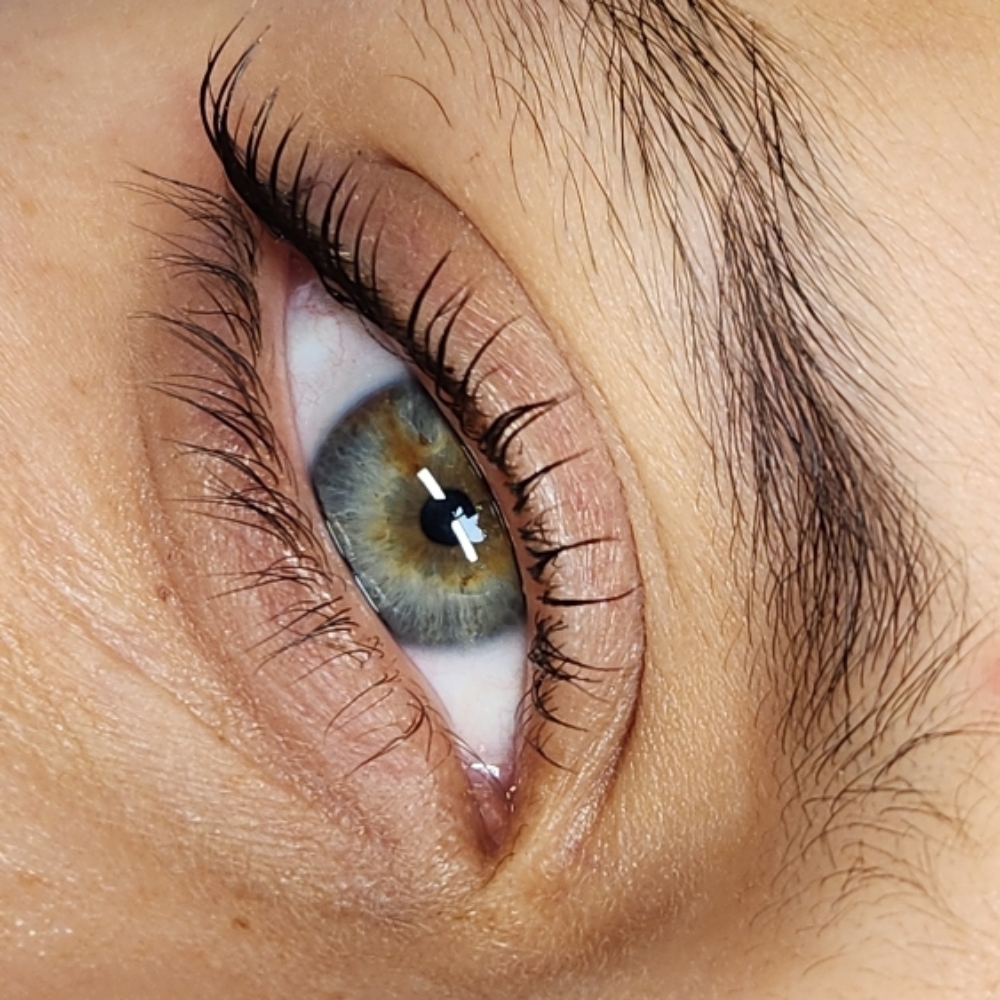 Lash Lift & Tinting at Emilia Estrada in Phoenix, AZ