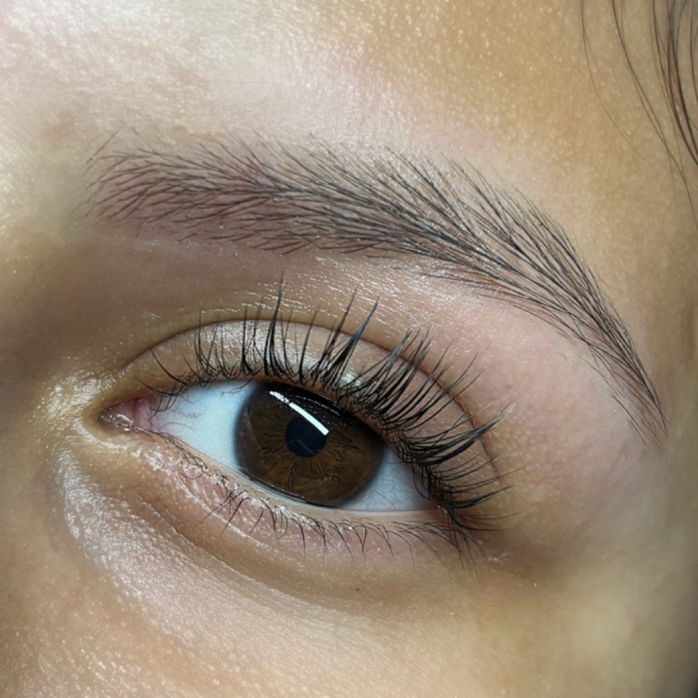 Brow Wax at ILashes By Noemi in San antonio, TX