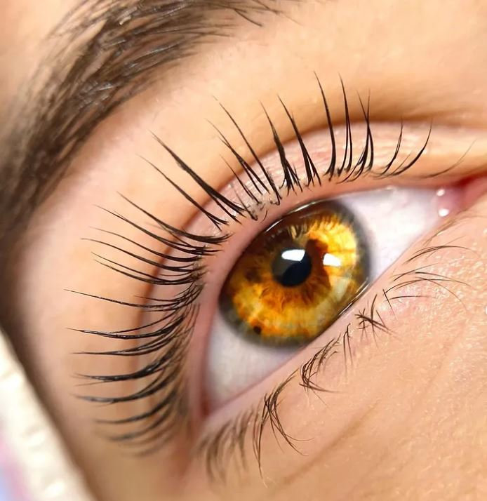 Lash Lift And Tint