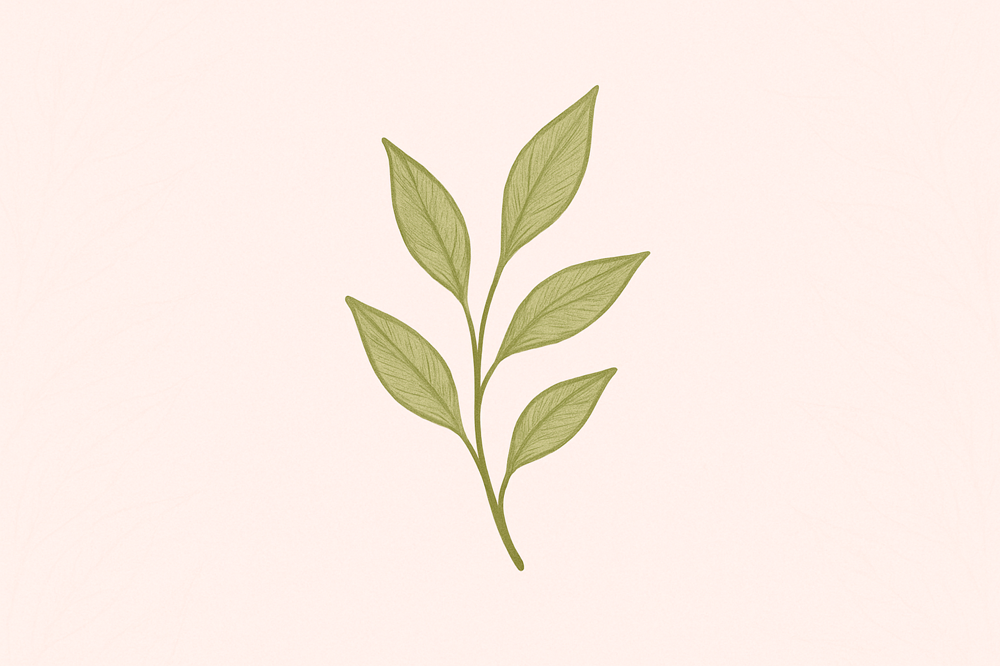 Men’s Legs at The Blush Room at Honey Salon in Colorado Springs, CO