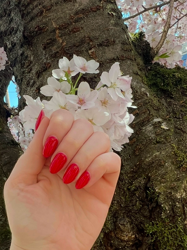 Roll The Dice (Basic Gel) at Lucky 13 in Portland, OR