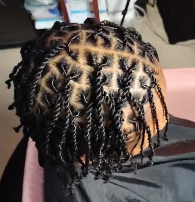 Two Strand Twist/invisible Locs (S)