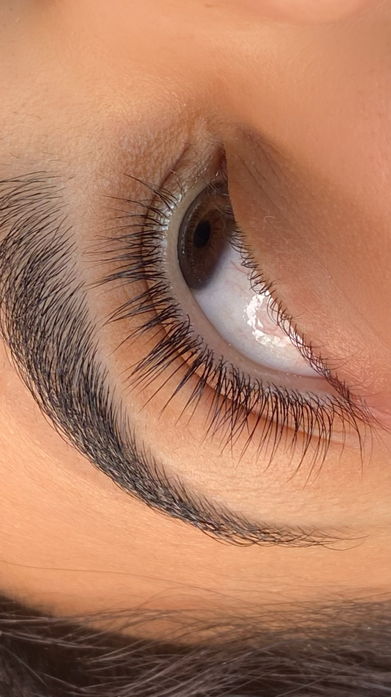 Lash Lift
