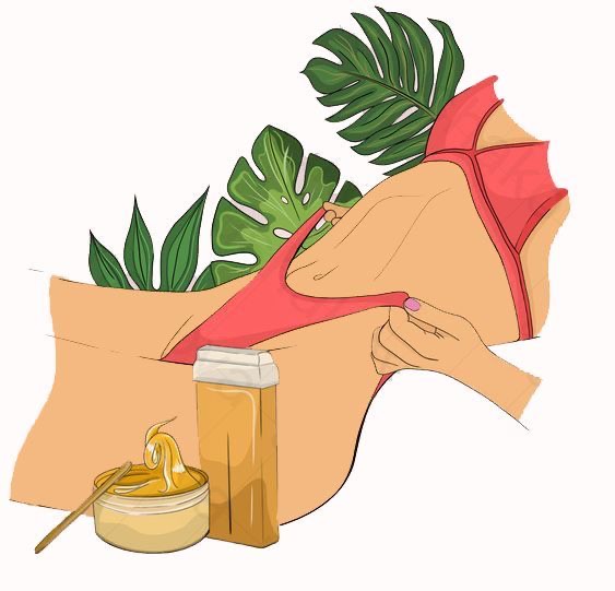 Full Brazilian (Returning Clients) at Zealus Skincare in Chesapeake VA, VA