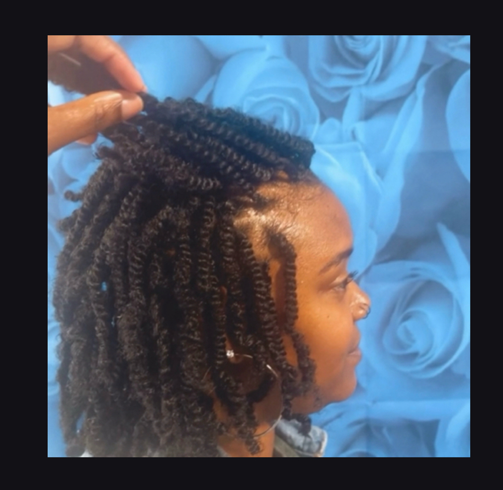 Mini Twist