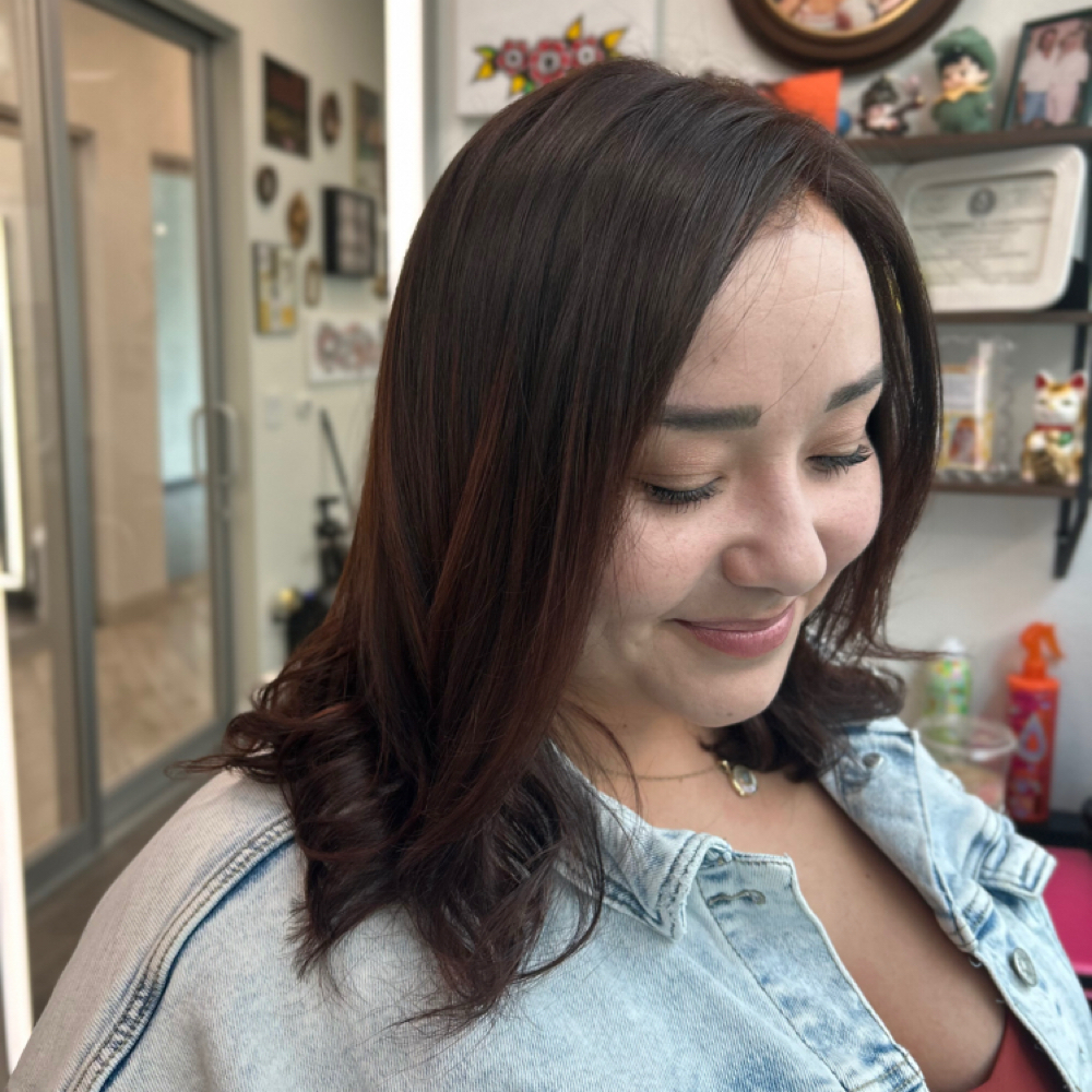 Full Root Touch-Up at UNDERTONE SALON in San Antonio, TX