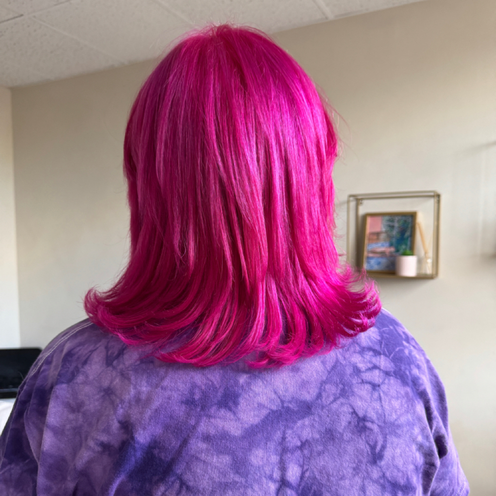 Full Vivid (1) Color at Poppy & Fern Hair Studio in Watertown, NY