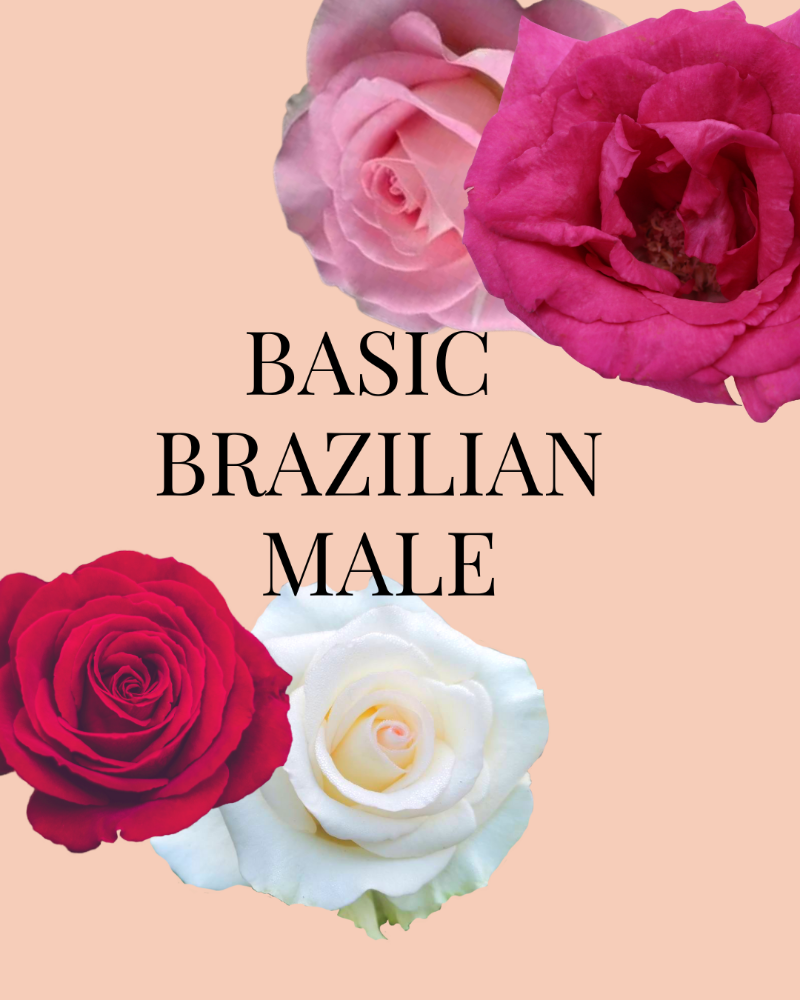 BASIC MALE BRAZILIAN