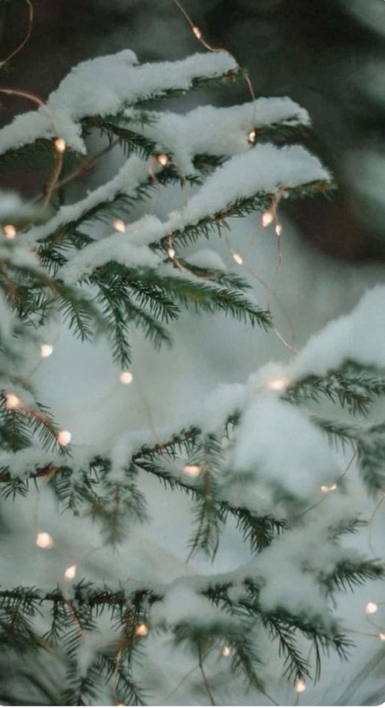 Peppermint OR Gingerbread Facial