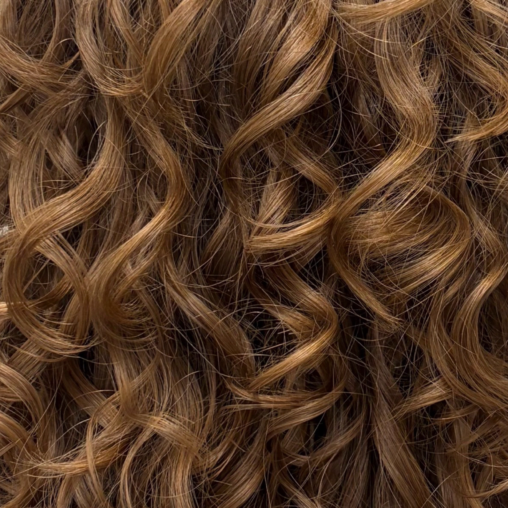 Gloss at Jae Curl Studio in Sarasota, FL