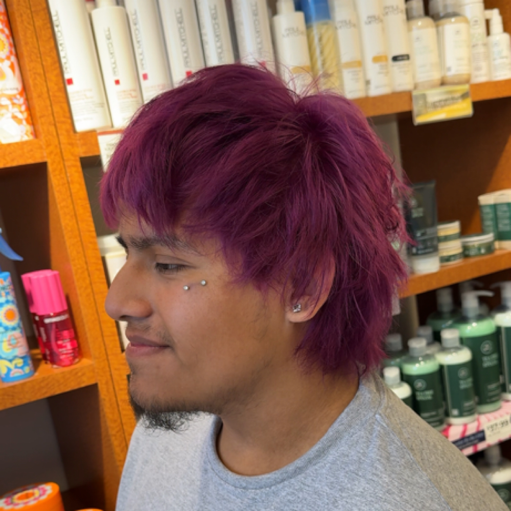 Creative Color at Mystic Manes Studio Co. in Ashburn, VA