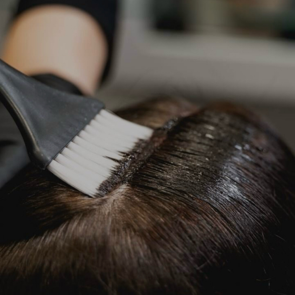 Root Touch Up at Courtney Demers in Estero, FL