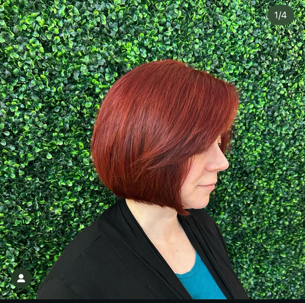 Root Touch Up