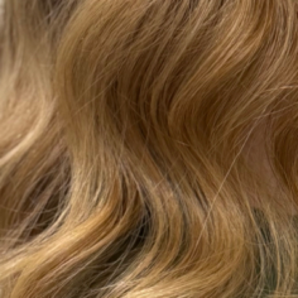 Deep Conditioning Treatment at The Color Room in Knoxvillle, TN