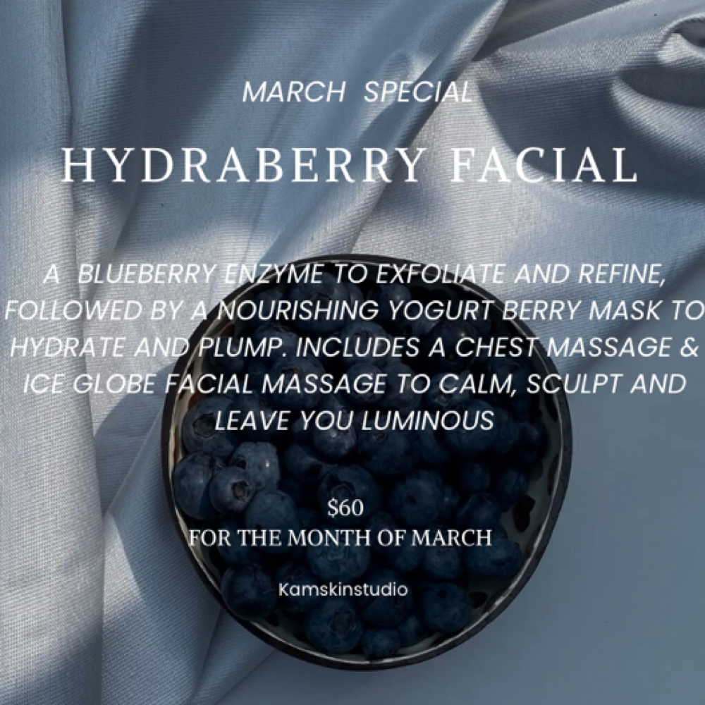 Hydraberry Facial at Kams Skin Studio in San Antonio, TX