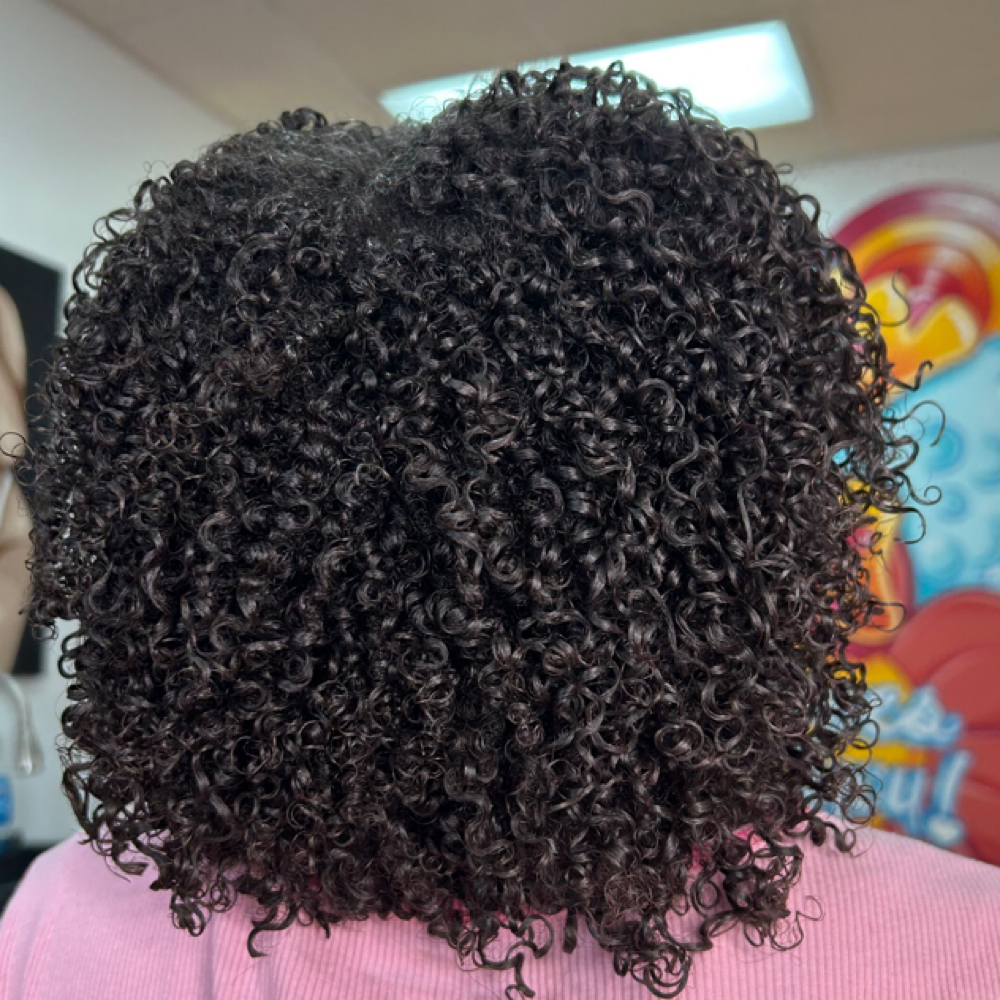 ✨Grand Curly Cut Session✨