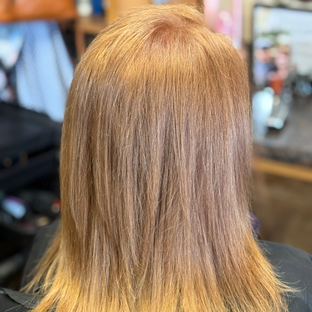 Womens New Growth touch up at Happy Hippie Hair in Fair Grove, MO