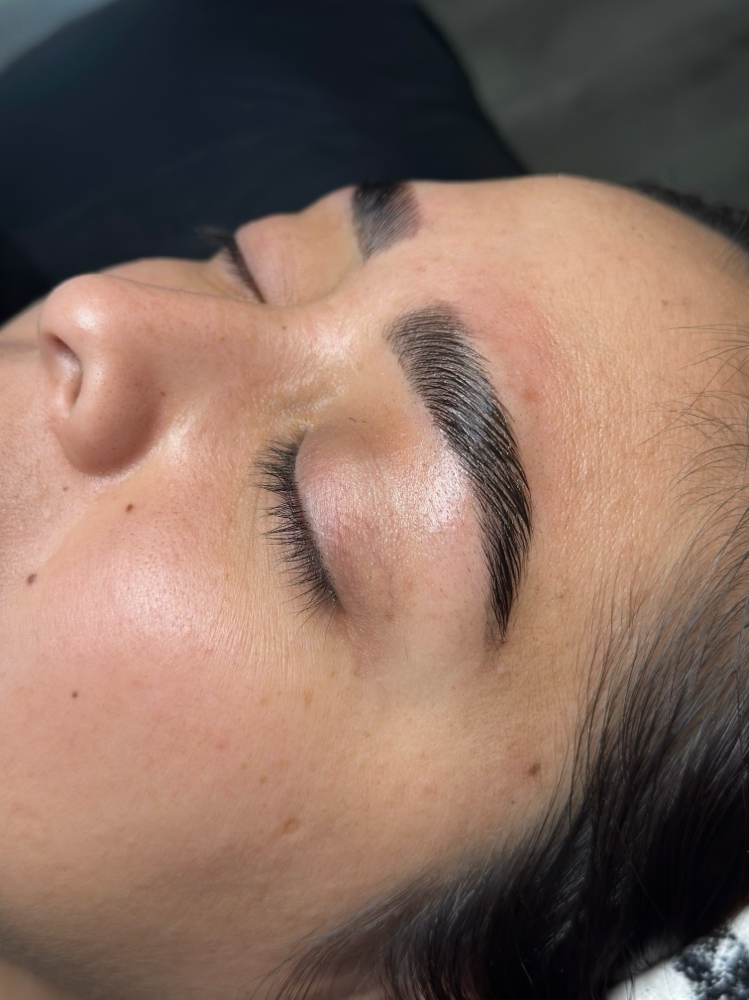Brow Lamination/Tint/Wax at Lash & Wax Factory in Denver, CO