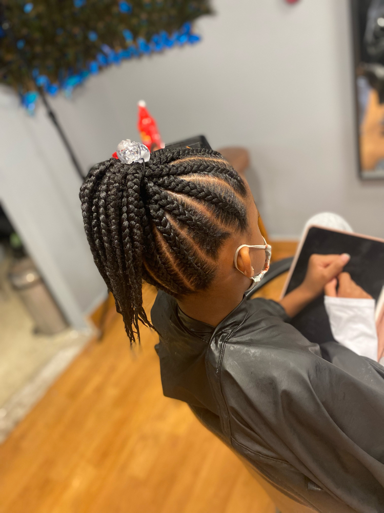 Kids Braids Girls Updo Ponytail