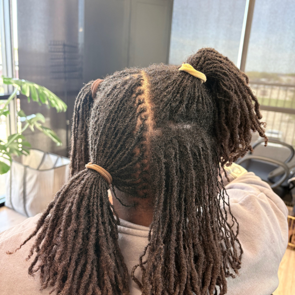 🌱Microloc Retie 11-14weeks at The Loc Nursery, LLC in Humble, TX