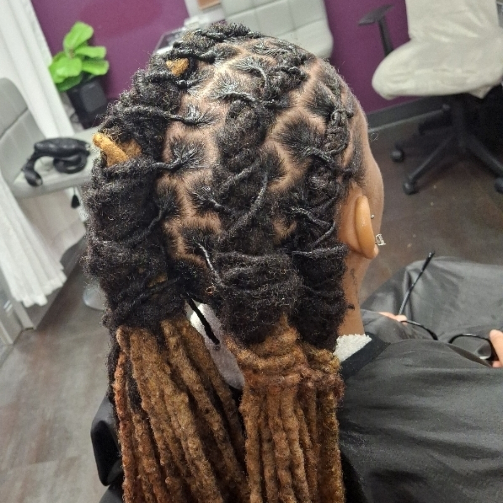 Loc Retwist/Style at KBearsBeauty in Lyndhurst, OH