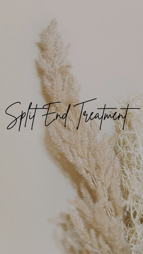 Split End Treatment