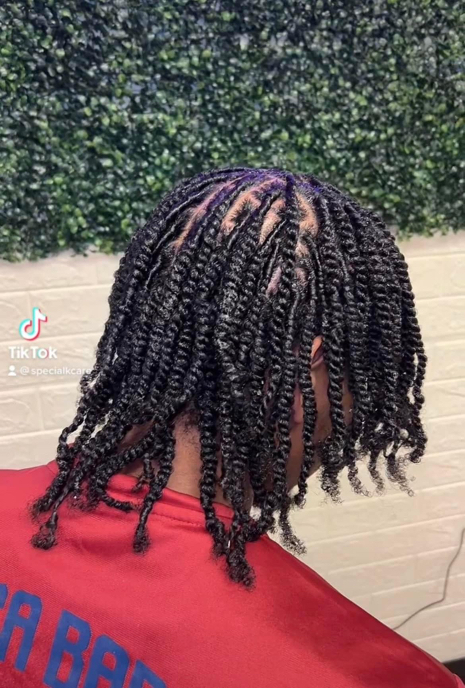 Adult Starter Locs (2 Strand Twist)