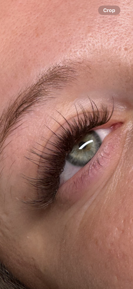 Full Set of Lashes