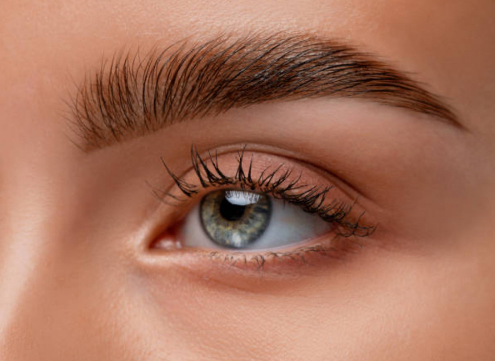 Brow Tint With Wax