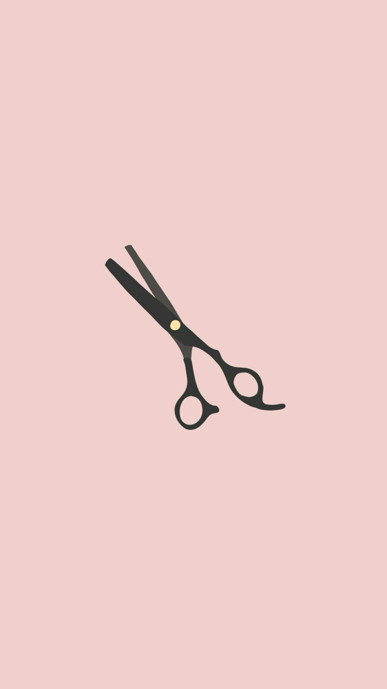 Wash, Cut, + Style