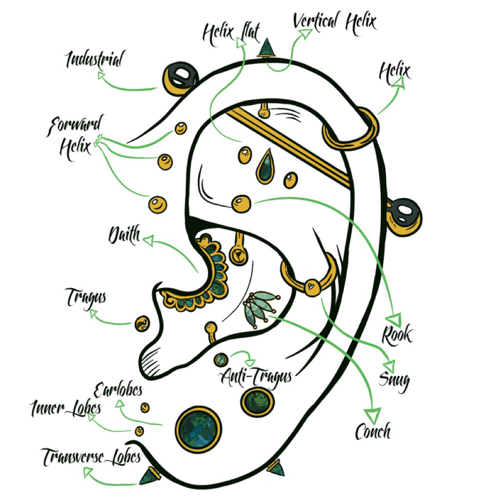 Transverse Lobes (Double/Paired) at Ethereal Adornments Pierced By Cambria in Murrieta, CA