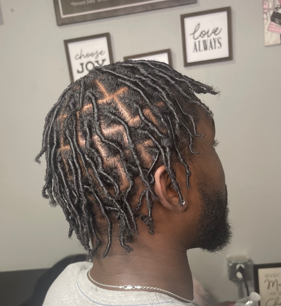 Starter Locs